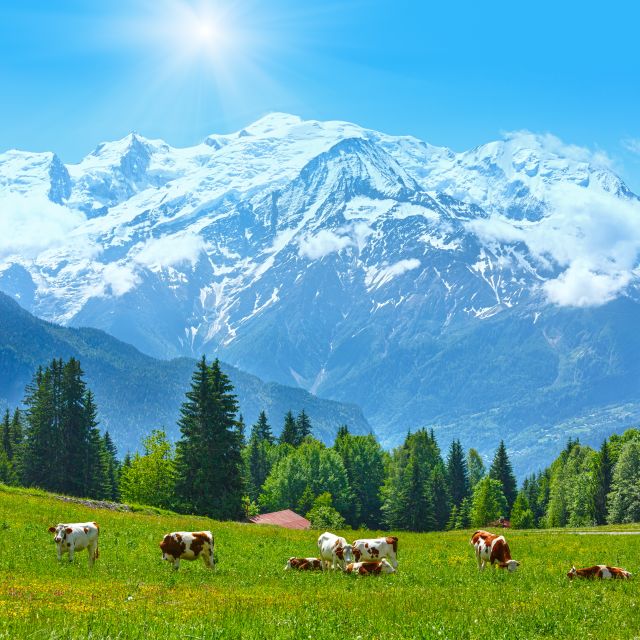 From Geneva: Chamonix Mont-Blanc Private Day Trip - Private Day Trip