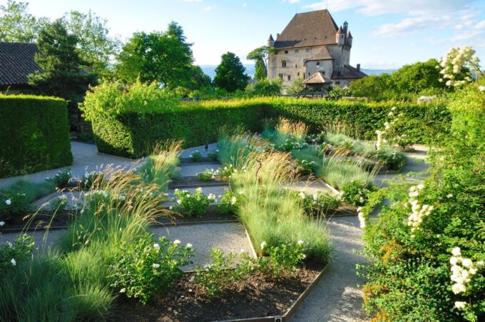 From Geneva: Day Tour to Chamonix & Yvoire Medieval Village - Savor Local Specialty Fish Dish
