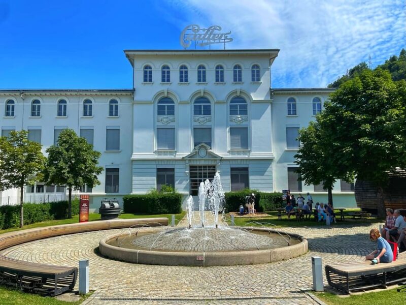 From Geneva: Gruyeres Castle, Cheese, Chocolate & Montreux - Inclusion and Amenities