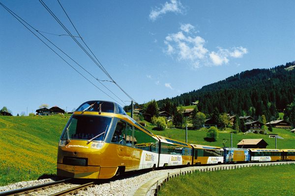From Geneva: Gruyères Gold Tour With Train Ride & Tastings - Frequently Asked Questions