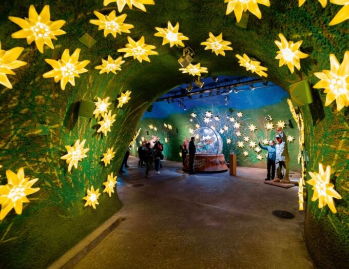 From Geneva: Jungfrau and Interlaken Small Group Tour - Duration