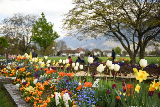 From Geneva: Private Trip to Interlaken City - Frequently Asked Questions