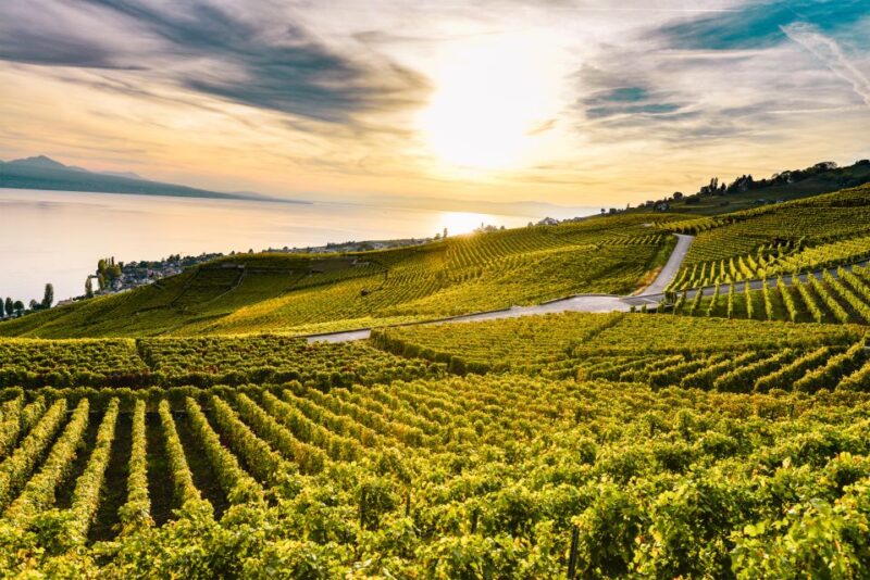 From Geneva: Swiss Riviera Tour - Highlights of the Tour