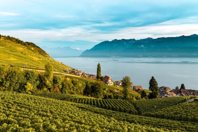 From Geneva: Swiss Riviera Tour - Discovering Vevey