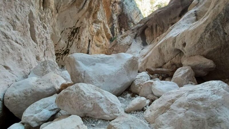 From Genna Silana: Canyon of Gorropu Guided Hike - Experience Highlights