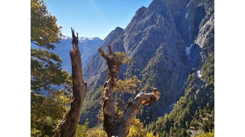 From Georgioupolis: Roundtrip Transfer to Samaria Gorge - Trail Description