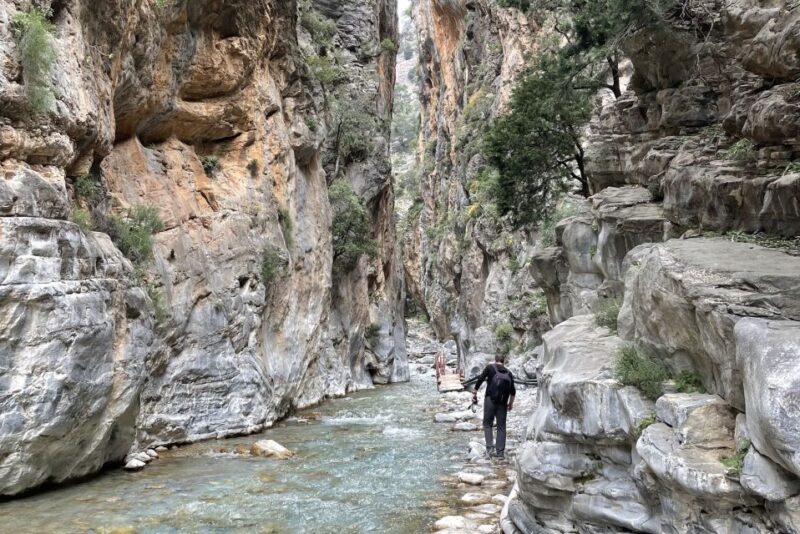 From Georgioupolis: Roundtrip Transfer to Samaria Gorge - Flora and Fauna