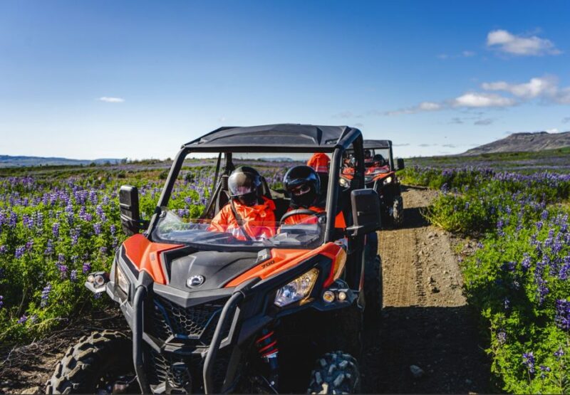 From Geysir: Geysir Buggy Adventure - Experience Highlights