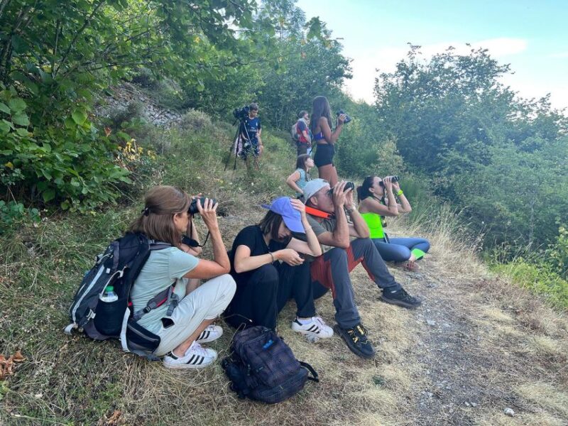 From Gijón, Oviedo or Pola De Somiedo: Brown Bear Spotting - Tour Duration and Languages