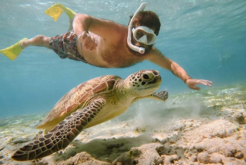 From Gili Air: Snorkeling with Turtles & Underwater Statue - Introduction: What to Expect from This Snorkeling Tour