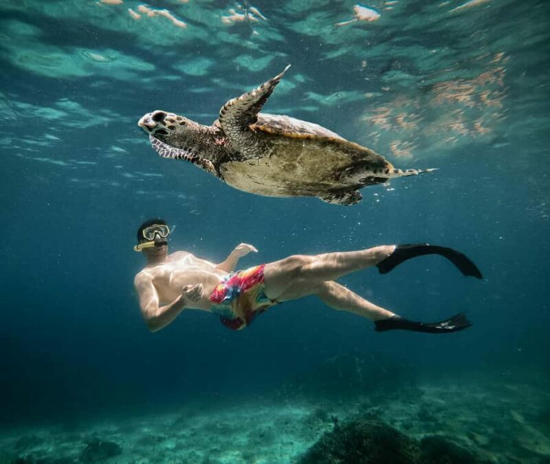 From Gili Air: Snorkeling with Turtles & Underwater Statue - What Makes This Tour Stand Out