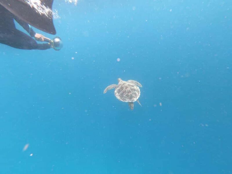From Gili Air/Trawangan: Glass-Bottom Boat with Snorkeling - Equipment, Safety, and Comfort