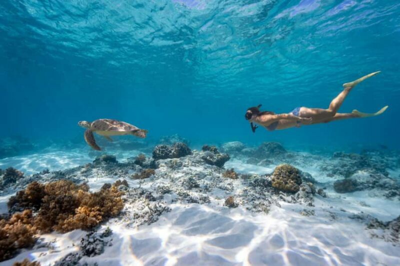 From Gili Meno: Private & Group Gili Islands Snorkeling - Frequently Asked Questions