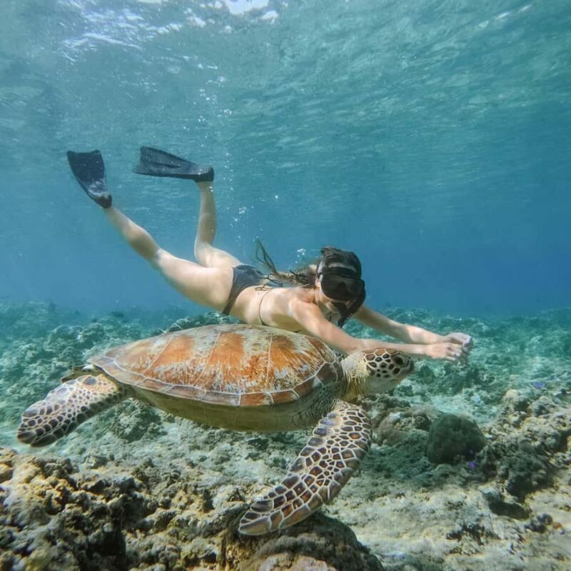 From Gili Meno: Private Snorkeling with Turtle & Statue - An Overview of the Snorkeling Adventure