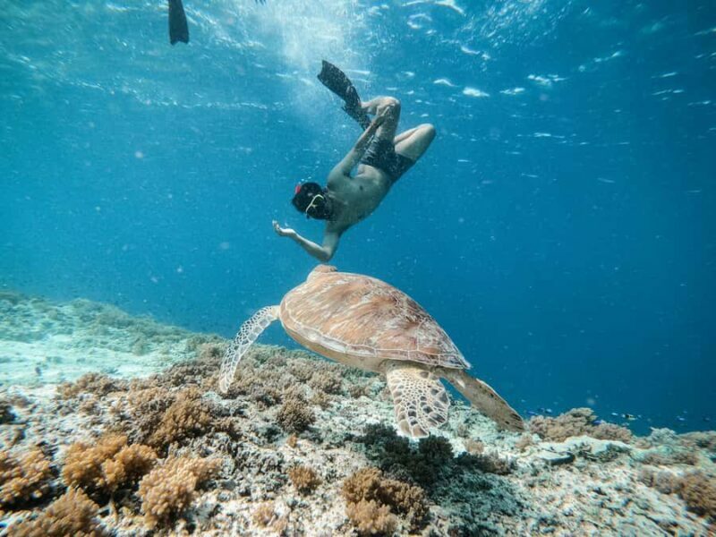 From Gili Meno: Private Snorkeling with Turtle & Statue - FAQ