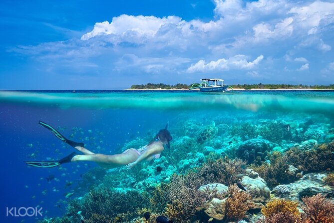 From Gili Trawangan & Gili Air Snorkeling Trip Sharing & Private - Booking and Cancellation Policy