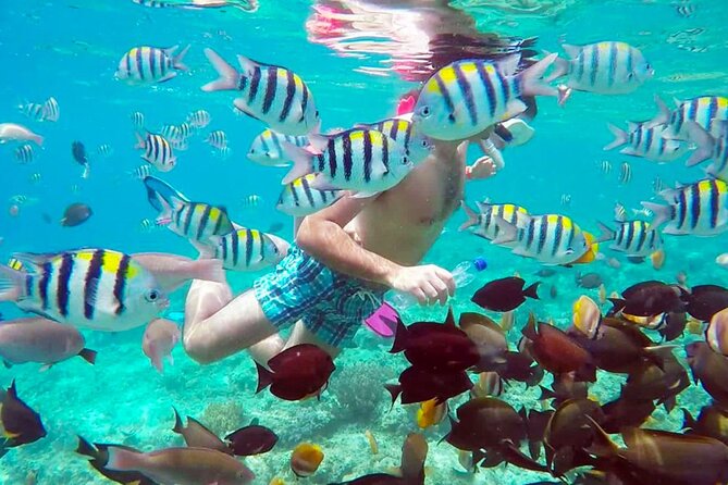From Gili Trawangan & Gili Air Snorkeling Trip Sharing & Private - Snorkeling Equipment and Inclusions