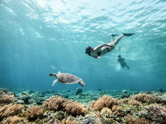 From Gili Trawangan: Gili Islands Snorkeling Tour by Boat - Customer Ratings