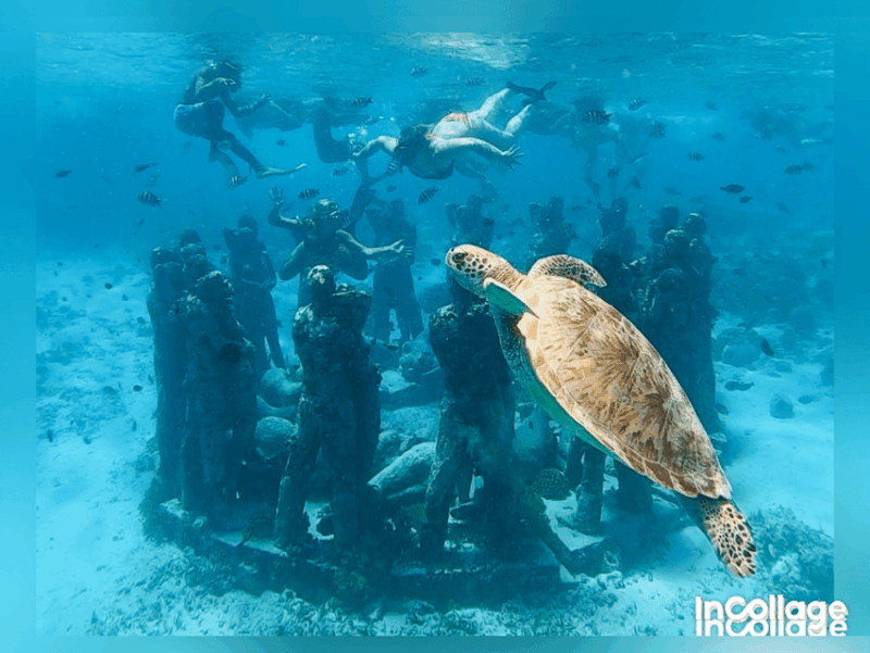 From Gili Trawangan: Group/Share Snorkelling Tour 3 Islands - Customer Reviews and Experience Highlights
