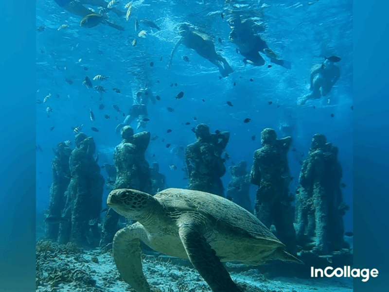 From Gili Trawangan: Group/Share Snorkelling Tour 3 Islands - Highlights of the Tour