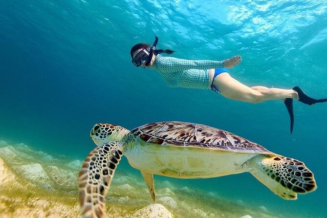 From Gili Trawangan: Island Hopping Snorkeling Trip - Snorkeling Equipment and Water