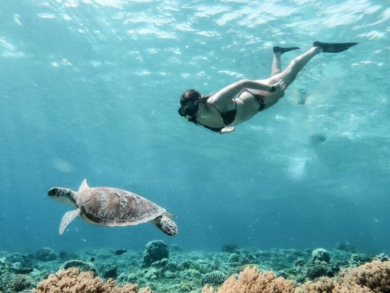 From Gili Trawangan: Private Snorkeling and GoPro Camera - Key Points