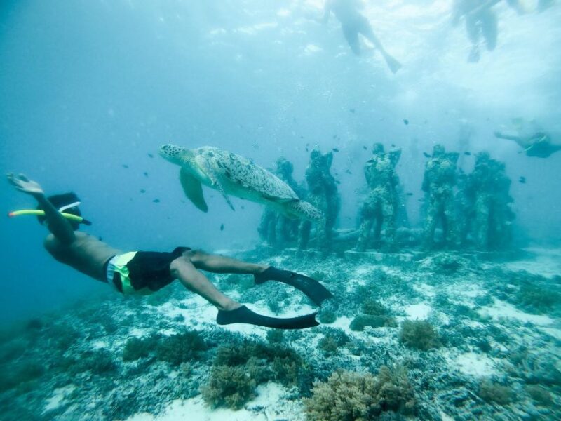 From Gili Trawangan: Private Snorkeling and GoPro Camera - Highlights of the Experience