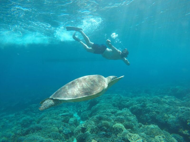 From Gili Trawangan: Small Group Sunset Snorkeling Tour - Tour Inclusions