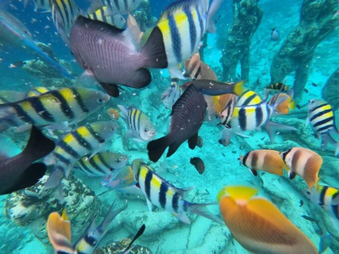 From Gili Trawangan: Small Group Sunset Snorkeling Tour - Booking and Cancellation