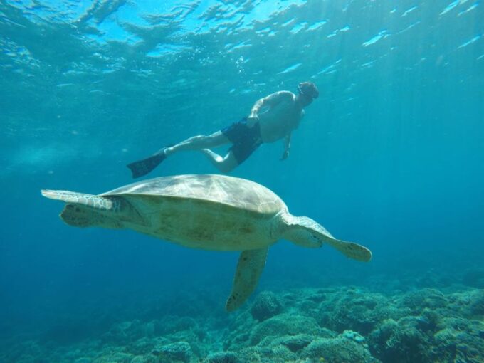 From Gili Trawangan: Small Group Sunset Snorkeling Tour - Frequently Asked Questions