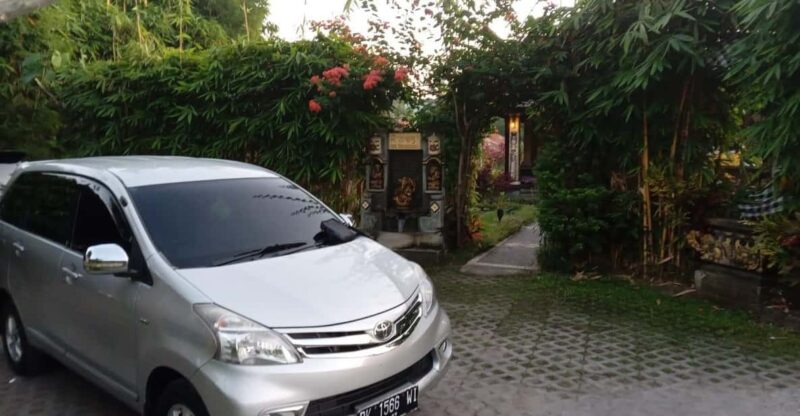 From Gilimanuk: a Private Transfer to Your Hotel in Bali - Booking Information