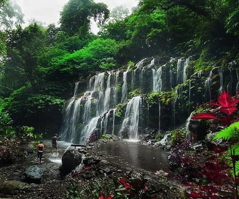 From Gilimanuk: Transfer to Ubud With Option Day Tour - Inclusions