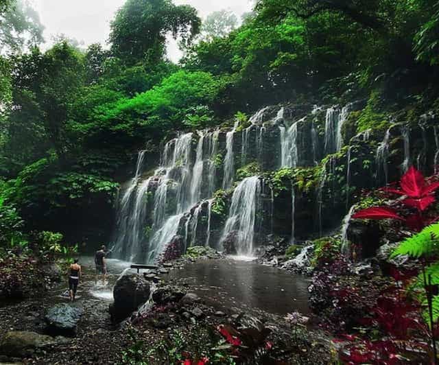 From Gilimanuk: Transfer to Ubud With Option Day Tour - Pricing and Duration