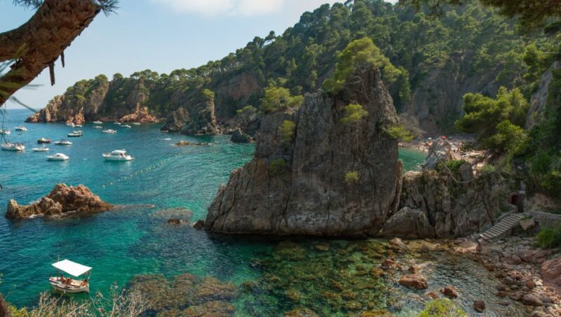 From Girona: Medieval Costa Brava Day Trip - Key Points