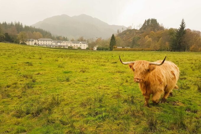 From Glasgow: Loch Lomond, Trossachs & Stirling Castle Tour - Roundtrip Transportation and Commentary