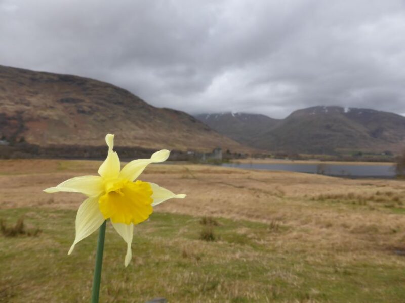 From Glasgow: Scottish Highlands & Isle of Skye 5-Day Tour - Accommodation Details