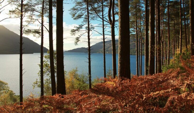 From Glasgow: Stirling Castle & Loch Lomond Tour With Cruise - Key Points