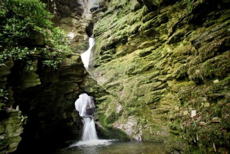 From Glastonbury: Tintagel - Land of King Arthur & Merlin. - Day 1: Dartmoor Exploration