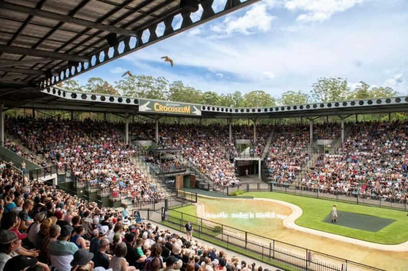 From Gold Coast : Australia Zoo Transfer and Entry Ticket - Exploring the Australia Zoo