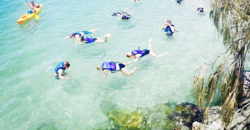 From Gold Coast: Kayaking & Snorkelling Tour With Breakfast - Key Points