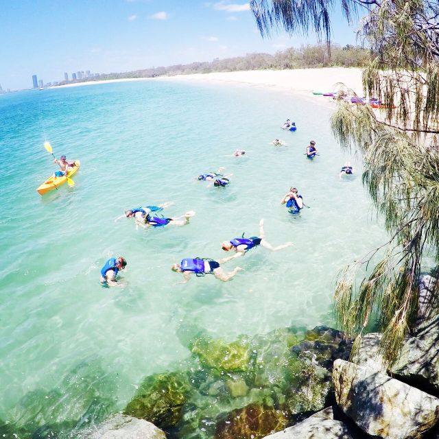 From Gold Coast: Kayaking & Snorkelling Tour With Breakfast - Included Equipment