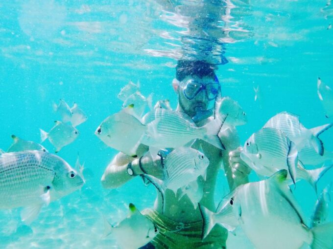 From Gold Coast: Kayaking & Snorkelling Tour With Breakfast - Recap