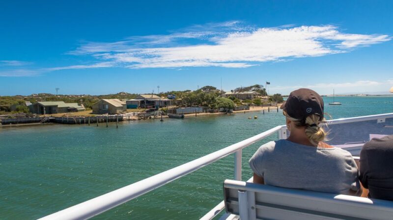 From Goolwa: Half-Day Coorong Experience - Itinerary Highlights