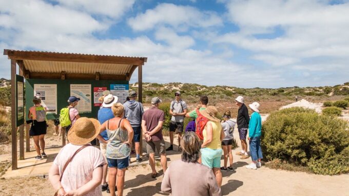 From Goolwa: Half-Day Coorong Experience - Recap