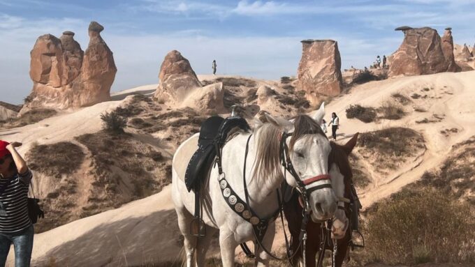 From Göreme: Cappadocia Valley Guided Tour With Lunch Option - Tour Duration