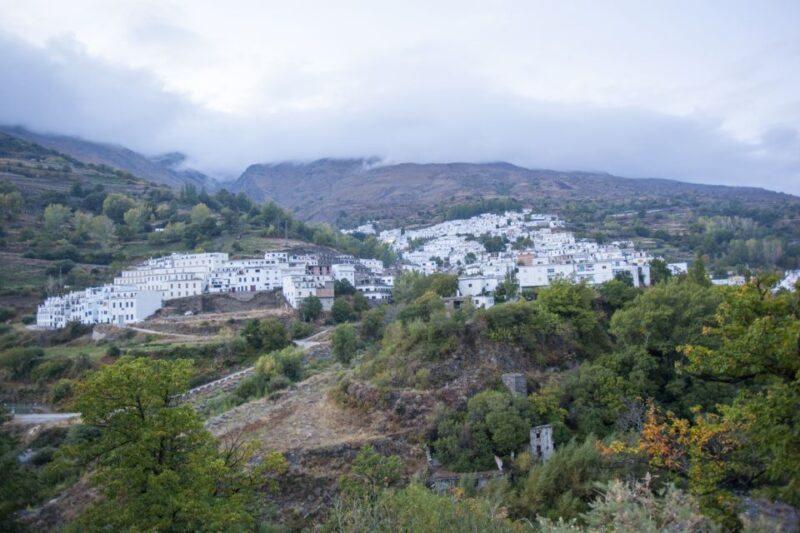 From Granada: Alpujarra Region Private Tour - Highlights of the Tour