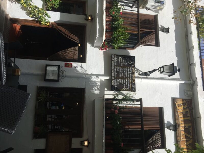 From Granada: Alpujarra Region Private Tour - Panoramic Mountain Vistas