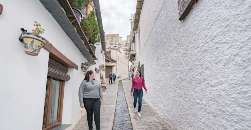 From Granada: Alpujarra Villages Guided Day Tour - Visiting Historic Towns
