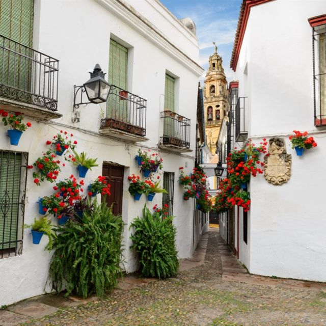 From Granada: Cordoba Highlights. Day Trip - Exploring the Old Town