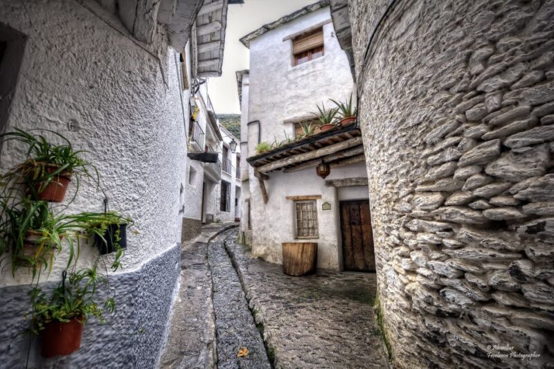 From Granada: Day Trip to Trevélez With Ham Factory - Transportation and Guide